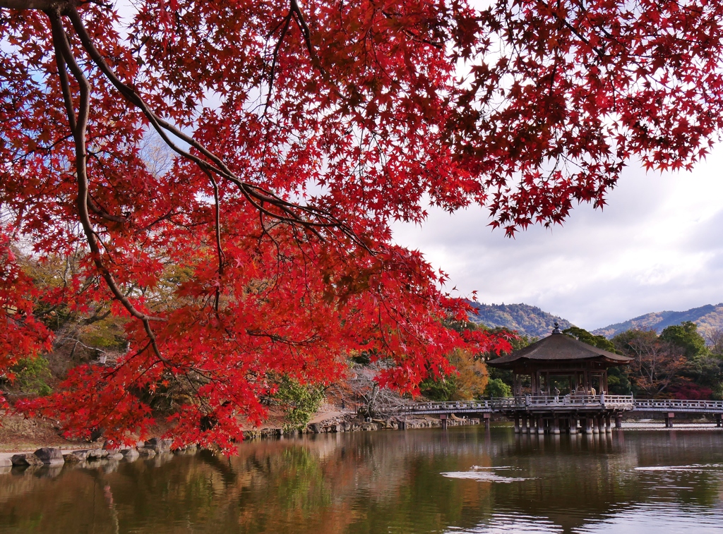 古都奈良の紅葉・浮見堂5