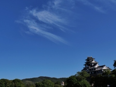 岡山城