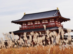 平城京晩秋(すすき)