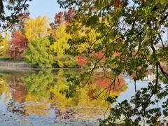 遊園地跡の紅葉9