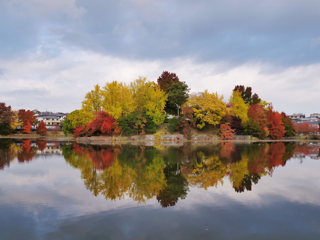 遊園地跡の紅葉3