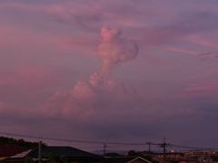 スヌーピーが夕焼け空に・・。