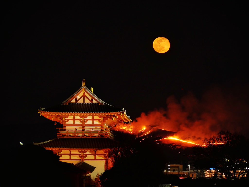 奈良・若草山山焼き 12