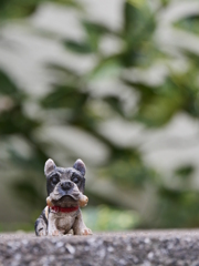 番犬・・。