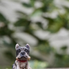 番犬・・。