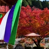 丹波篠山・高蔵寺の紅葉 1