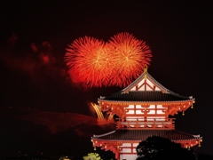 奈良公園バースディ花火1