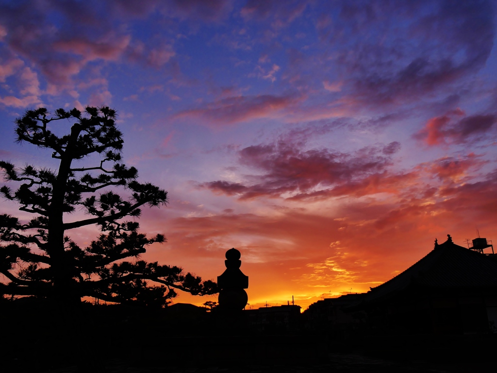 奥の院夕景