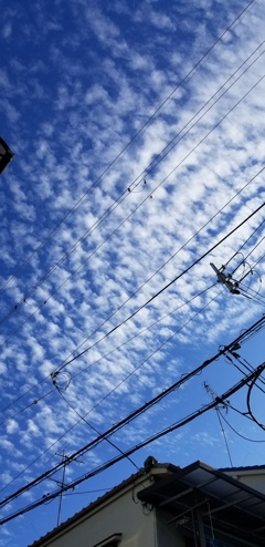 今朝の空　2023.9.13