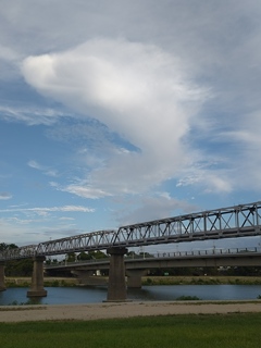 イルカのような雲
