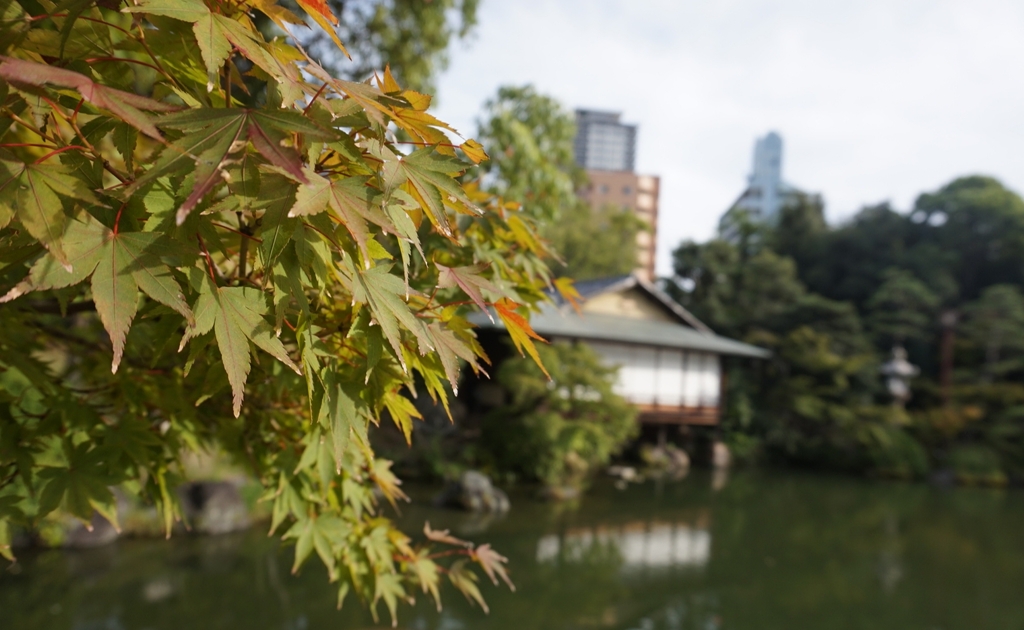 神戸　相楽園