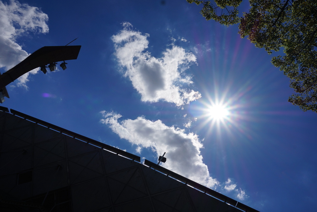 眩しい太陽②
