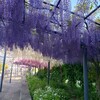 フジ　〜万博記念公園〜