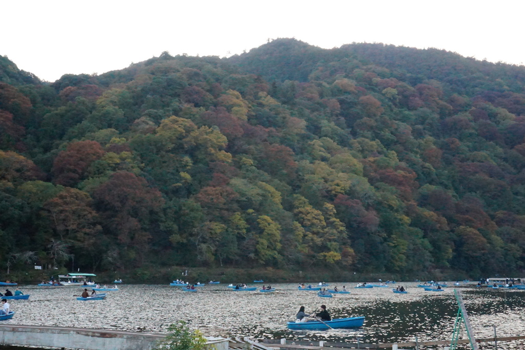 嵐山　紅葉②