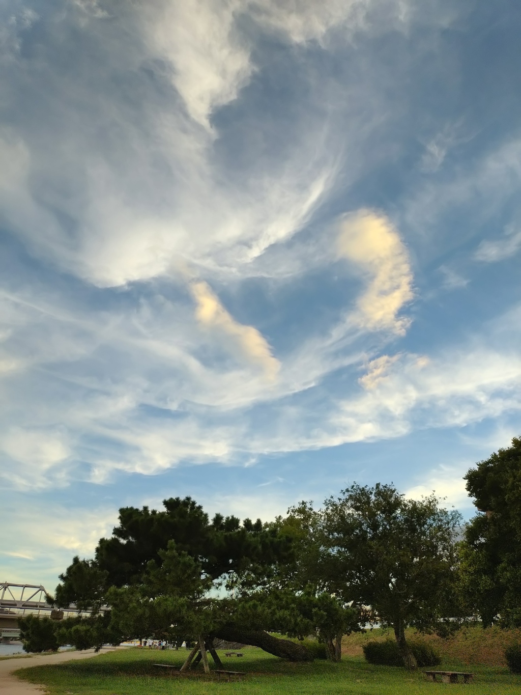 ある日の景色