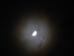 月の明かり