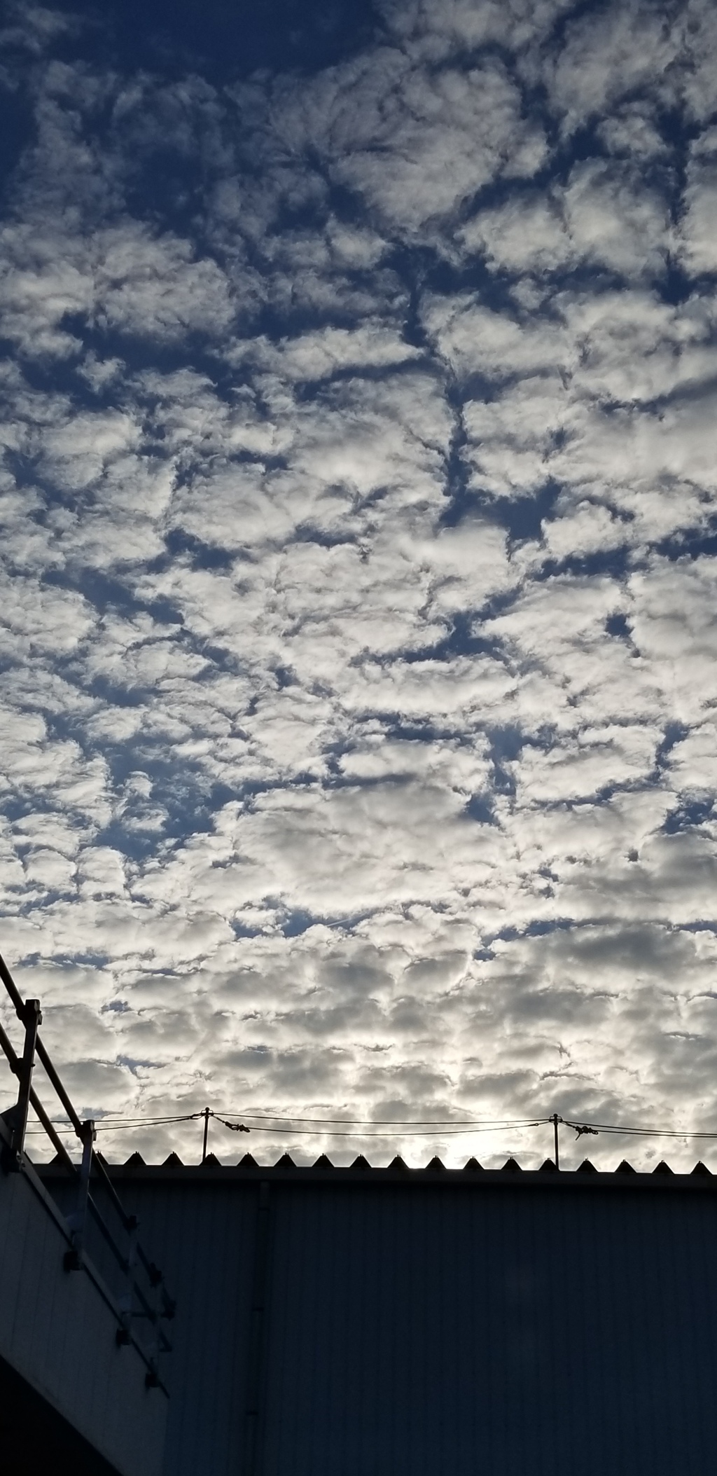 12月もあと少し　ある日の空