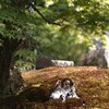GW楽しいね