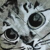 猫の壁画