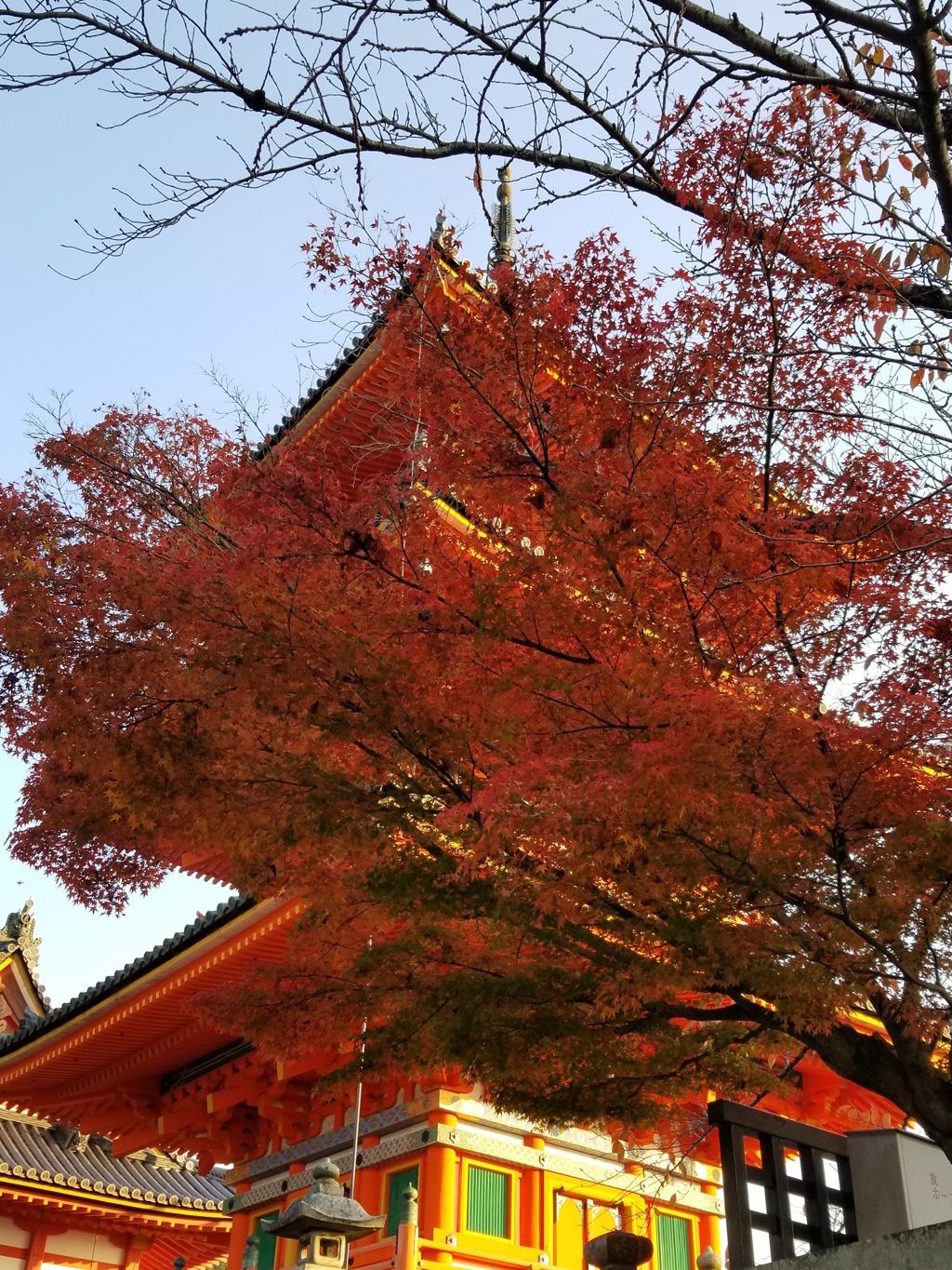 紅葉と三重の塔