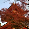 紅葉と三重の塔