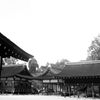 賀茂別雷神社(上賀茂神社)③