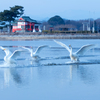 邑楽　多々良沼公園