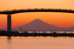 中の島大橋