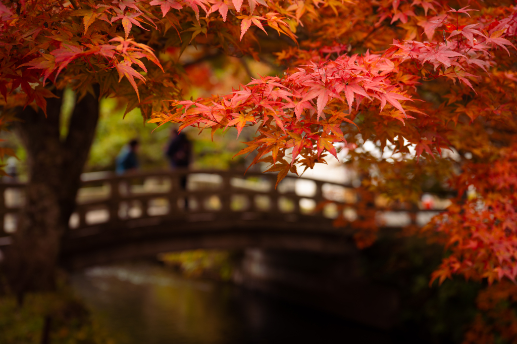 福島　十津神社