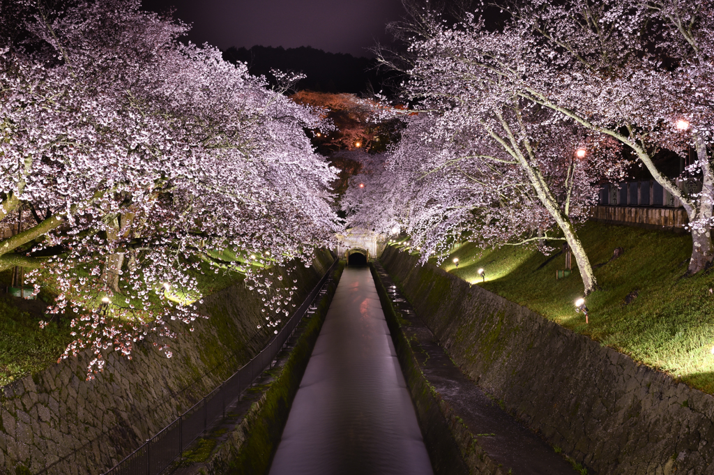 琵琶湖疎水　三井寺