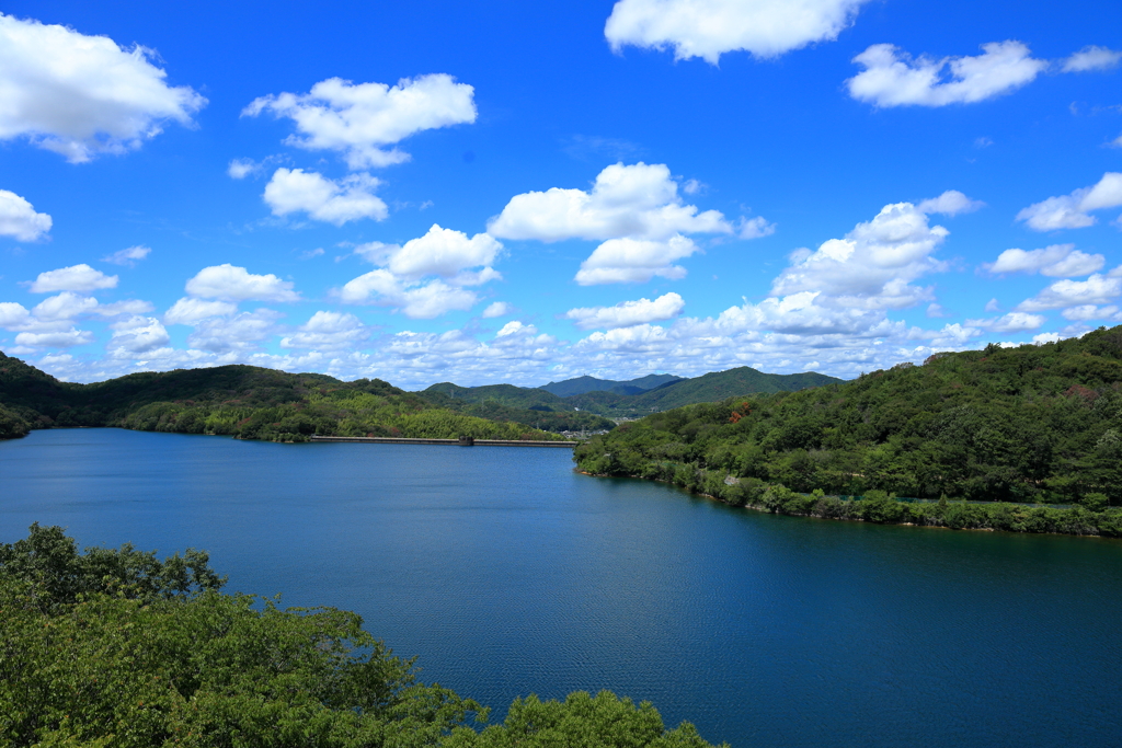 わた雲と静かな湖畔