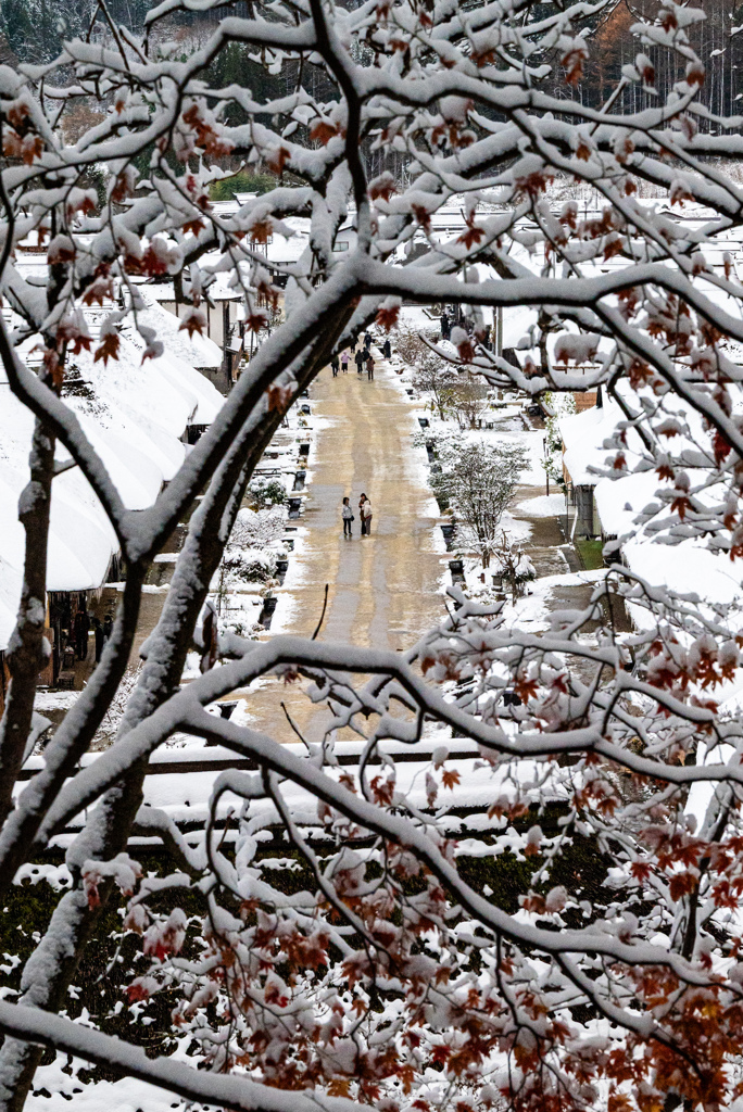 紅葉と雪のフォトフレーム