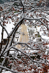 紅葉と雪のフォトフレーム