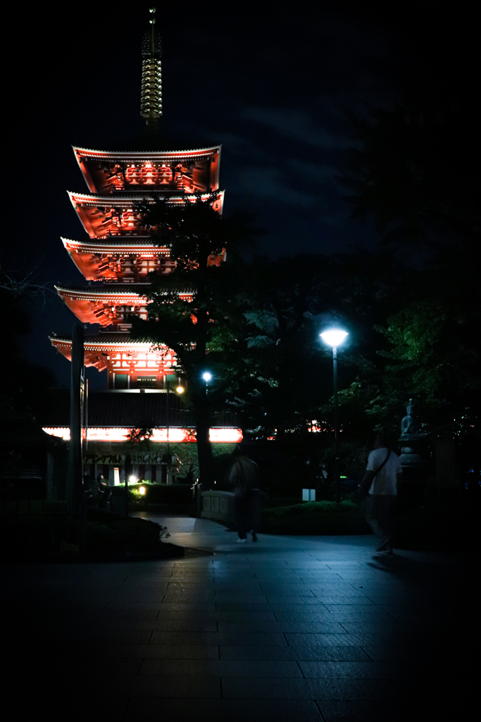 夜に輝く五重塔の光