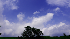 夏雲