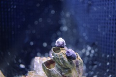 水族館