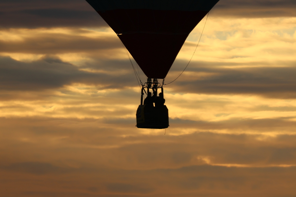 大崎市バルーンフェスティバル