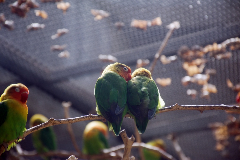 上野動物園にて