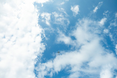 飛行機と雲