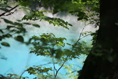 青と緑