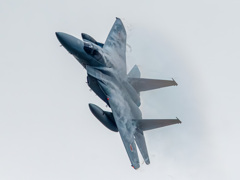 Vapor Strike