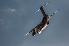 夕日に照らされて