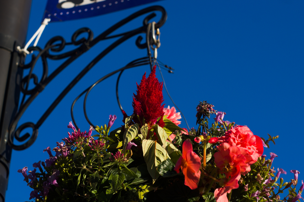 青空とバスケット