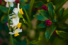 恋バナに花咲かす