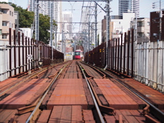 果てしなく続く赤道