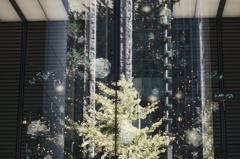 映る秋　透ける冬