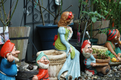 白雪と秘密の庭園