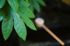 あちらに見えるのが