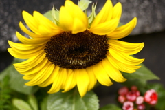 もうすぐ上向く季節