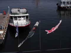風の魚